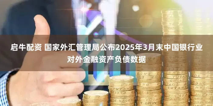 启牛配资 国家外汇管理局公布2025年3月末中国银行业对外金融资产负债数据