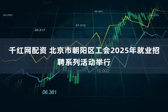千红网配资 北京市朝阳区工会2025年就业招聘系列活动举行