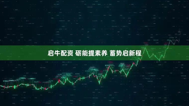 启牛配资 砺能提素养 蓄势启新程