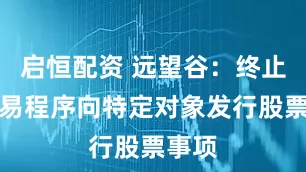 启恒配资 远望谷：终止以简易程序向特定对象发行股票事项